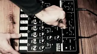 Lyra 8 jam