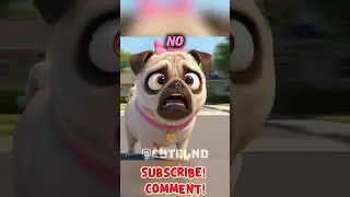 Осторожнее с речью, сынок! 🐶😱🤫 #мило #мопс #питомцы
