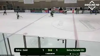 Edina Hornets 12U vs. Edina - Gold (2026.01.21)