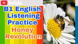 B1+English Listening: Urban Bees Save Manchester