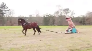Man in dinosaur costume does tricks on horseback