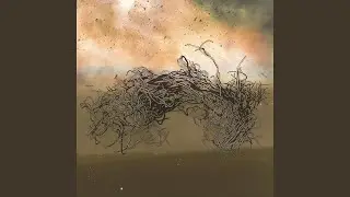 The Carriers