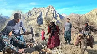 Iran Nomadic Survival | Cold Winter Forces a Family to the Mountains to Collect Firewood ❄️🪵🏔️