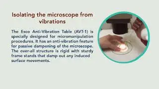 Esco Anti-Vibration Table | Esco Medical