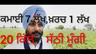 ਸੱਠੀ ਮੂੰਗੀ ਦਾ ਸਫ਼ਲ ਕਾਸ਼ਤਕਾਰ,ਸਰਪੰਚ ਸਤਵਿੰਦਰ ਸਿੰਘ  ਭਾਗੂ