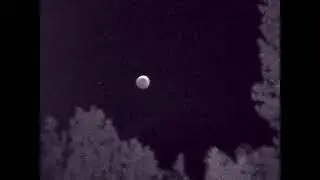 Fantastic White ORB Encounter (5-21-2021)