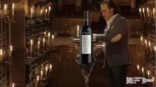 Дегустация Вина VALDELANA Selecci&oacute;n Tinto Joven DOC Rioja