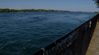 DEC files lawsuit against Buffalo Sewer Authority over raw sewage discharge