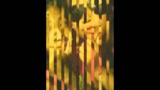 mga gagong lalake at babae