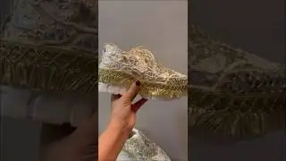 Bridal shoes 👟 #shwetamahadik #diychachi #craft #bridal #fashion