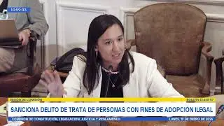 Comisión de Constitución, Legislación, Justicia y Reglamento - 19 de Enero 2026