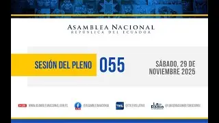 Sesi&oacute;n No. 055-AN-2025-2029 del pleno de la Asamblea Nacional