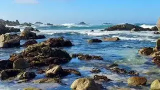 At The Tidepools Of Pacific Grove, CA (10-3-2025)