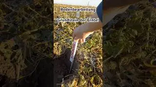 Bodenbearbeitung!! wann, wie tief, welche Art! 🪏+🥔=🍟Die Ernte wird im Fr&uuml;hjahr schon gepr&auml;gt!