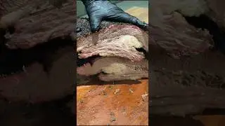 Insane Brisket Slice &mdash; Perfect Bark, Smoke Ring & Juicy Fat Cap!