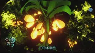 Underwater survival game