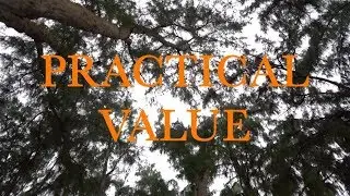 PRACTICAL VALUE &bull; SIX KEY STEPPS / CM320D