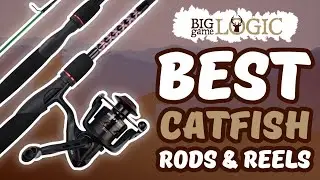 Best Catfish Rods and Reels 🎣: Buyer’s Guide Review | Big Game Logic