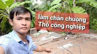 Thỏ Miền Nam - Hướng dẫn làm chân chuồng thỏ công nghiệp