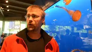 Vancouver Aquarium launches Jellyfish exhibit