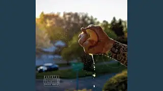 50 Fifty