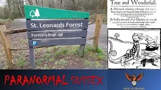 Paranormal West Sussex: St Leonard's Forest Horsham