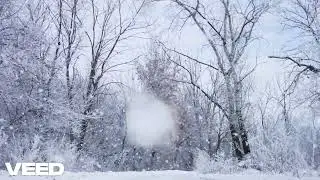 Alex s Video   Feb 22, 2026