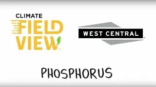 Phosphorus Availability - West Central and The Climate Corporation