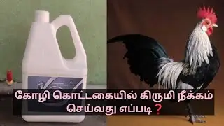 கோழி கொட்டகையில் கிருமி நீக்கம் செய்வது எப்படி? | Aquamax poultry disinfectant review in tamil