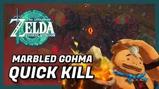Marbled Gohma boss fight in 1 minute - Tears of the Kingdom