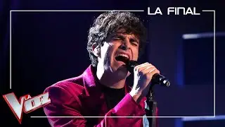 Pablo Verdeguer canta 