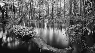 Loxahatchee River