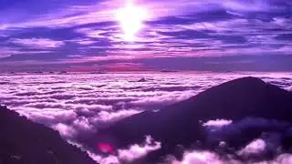 Do Not Be Anxious | Seek First the Kingdom of God (Matthew 6:25&ndash;34)