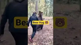 When You Think It&rsquo;s a Bear Fight&hellip; But It&rsquo;s a Bear Hug 🐻❤️ #Shorts