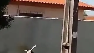 Effort never fails