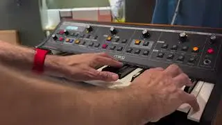 Moog Little Phatty Stage Synthesizer