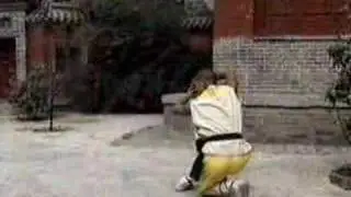 Shaolin Luohan quan