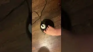 Favorite turtle cleaning tool