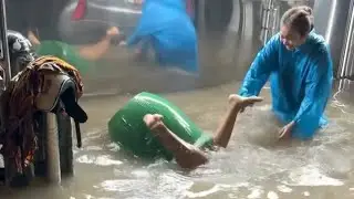 UNUSUAL MEMES COMPILATION V54