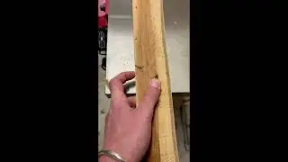 English Yew Bow Stave H | 84