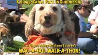 Las Vegas Valley Humane Society's 2010 Wag-A-Tail Walk-a-Thon