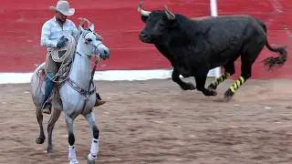 !! TOROS BRAVOS BUSCA CABALLOS - JARIPEO NAVIDEÑO !! EN LA MONUMENTAL DE MORELIA 25 D DICIEMBRE 2025