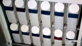 Expert Insight - Peter Kilner - Enabling Tissue Processing