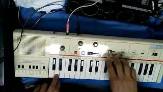 CASIO MT-40