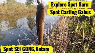 SPOT CASTING GABUS TERBARU, Masih PERAWAN...! #MANCINGMANIA #MANCINGLIARAN #FYI #CASTING #FYP