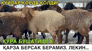 ҚАРЗГА БЕРАМИЗ. ЛЕКИН БУЛАРНИМАС. ☎️+998977779663