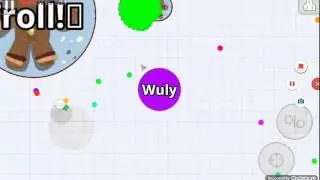 Me comen mucho|Wuly