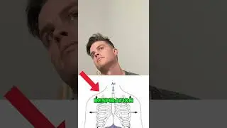Unlock Better Breathing and Relieve Neck Tension with Scalene Stretches
