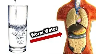See What Happens When You Drink warm water on an empty stomach