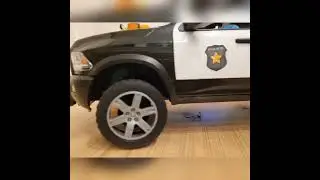 police and towing service in action